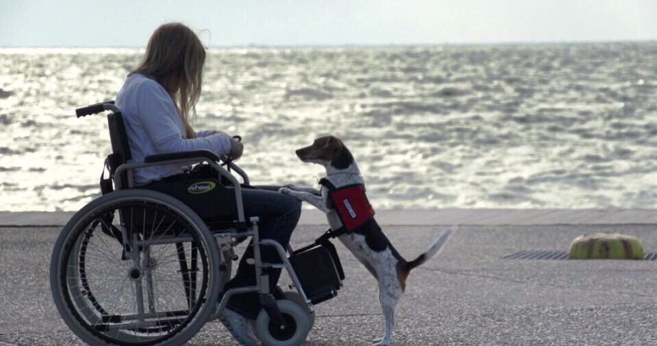 Σκύλοι: Αλλάζουν τις ζωές των ατόμων με ειδικές ανάγκες