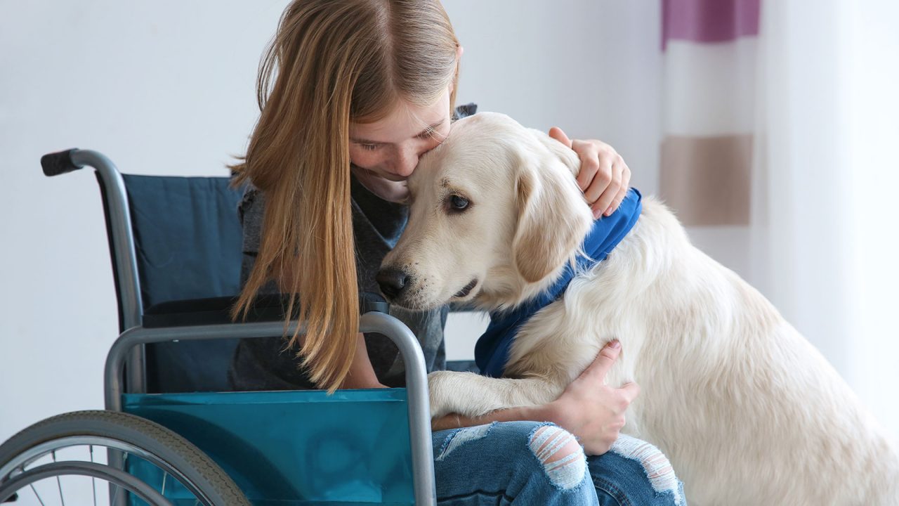 Σκύλοι – θεραπευτές απαλύνουν τον πόνο παιδιών με καρκίνο