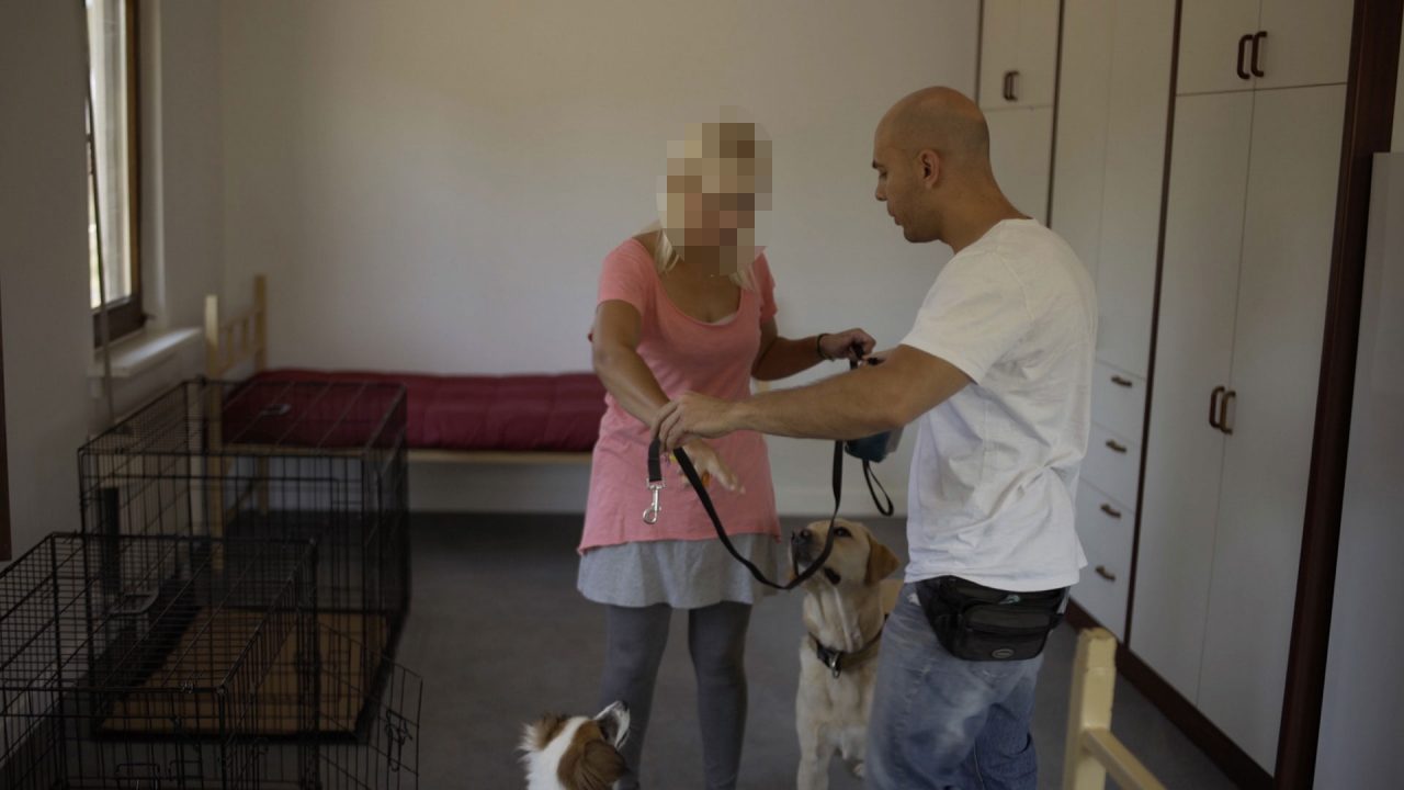 Save a Greek Stray: Δίνοντας μία «δεύτερη ευκαιρία» σε ανθρώπους και σκύλους