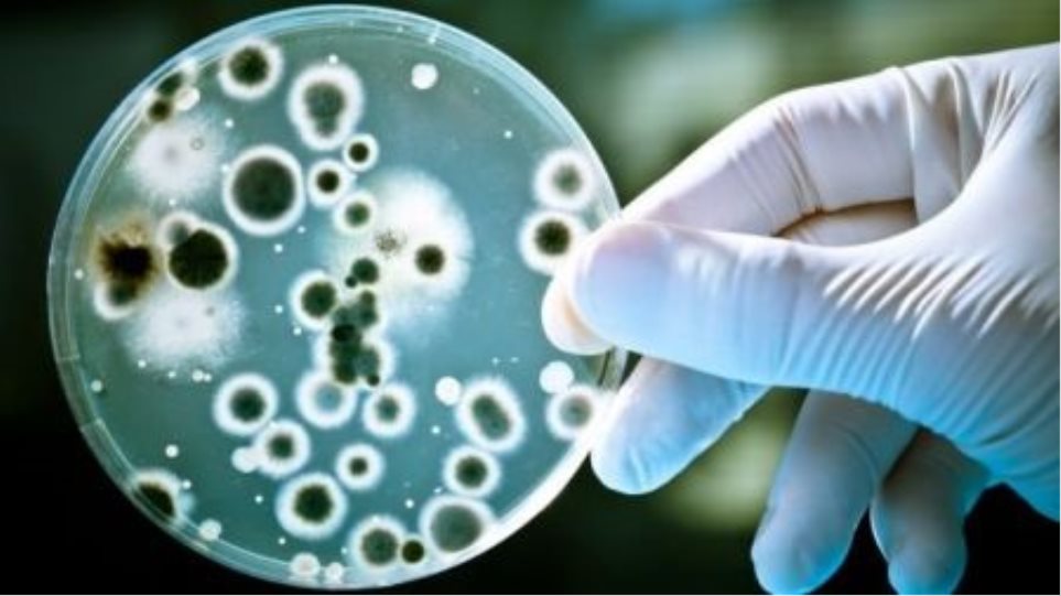 Τοσκάνη: Σημαντική αύξηση των κρουσμάτων μόλυνσης από το «σούπερ βακτήριο» NDM-1