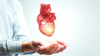 7+1 μυστικά για γερή καρδιά και μυαλό – Η νέα οδηγία που προστέθηκε στη λίστα
