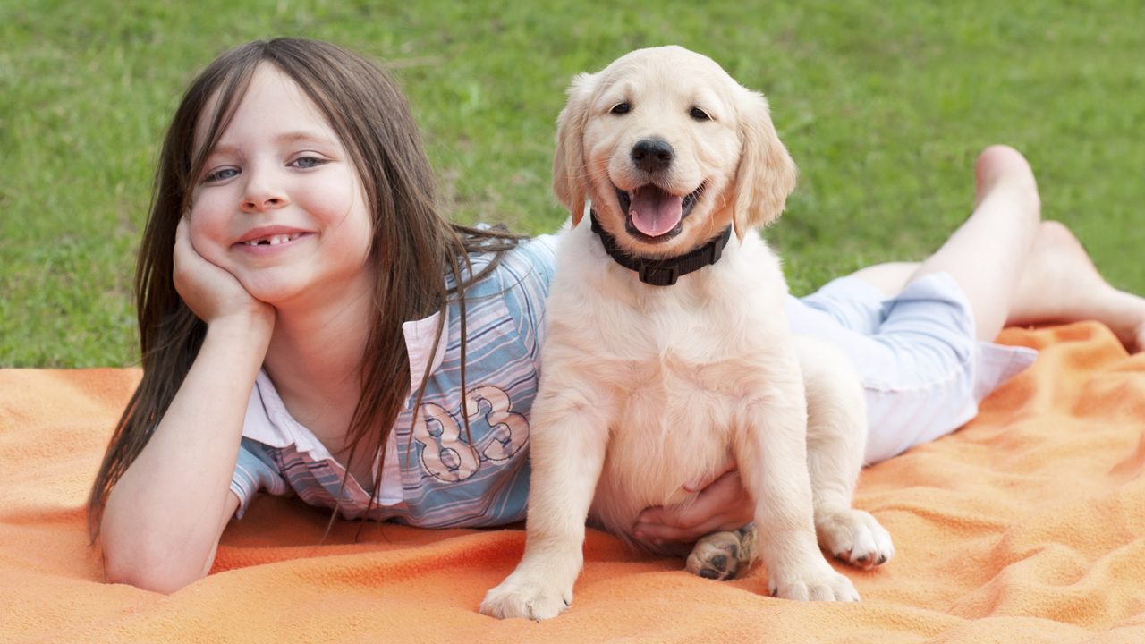 Παιδί και σκύλος: Τρία βήματα που θα τα κάνουν αχώριστους φίλους