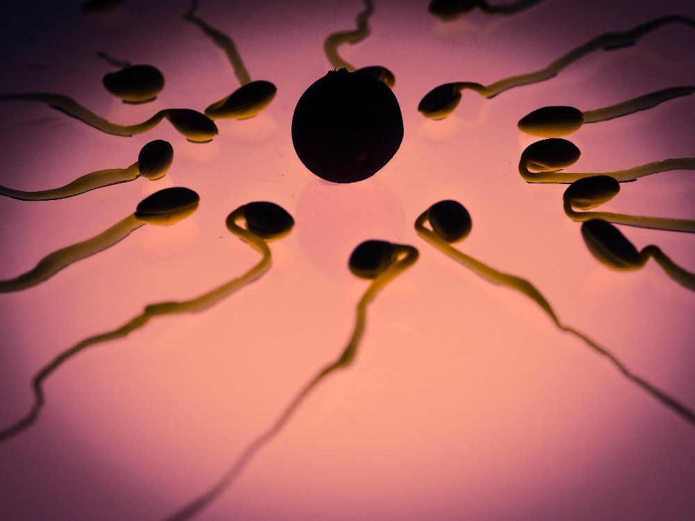 Ανδρική Γονιμότητα: Δεν φαντάζεστε ποια είναι η μεγαλύτερη απειλή για το σπέρμα