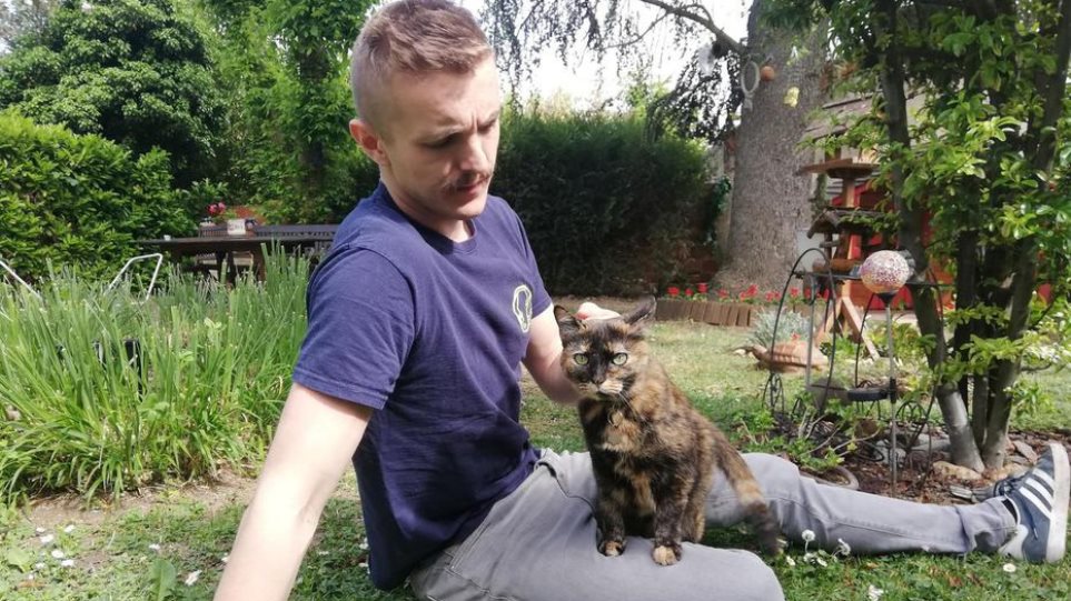 Κορωνοϊός – Γαλλία: Γάτα προσβλήθηκε από τον ιό αλλά κατάφερε να επιζήσει
