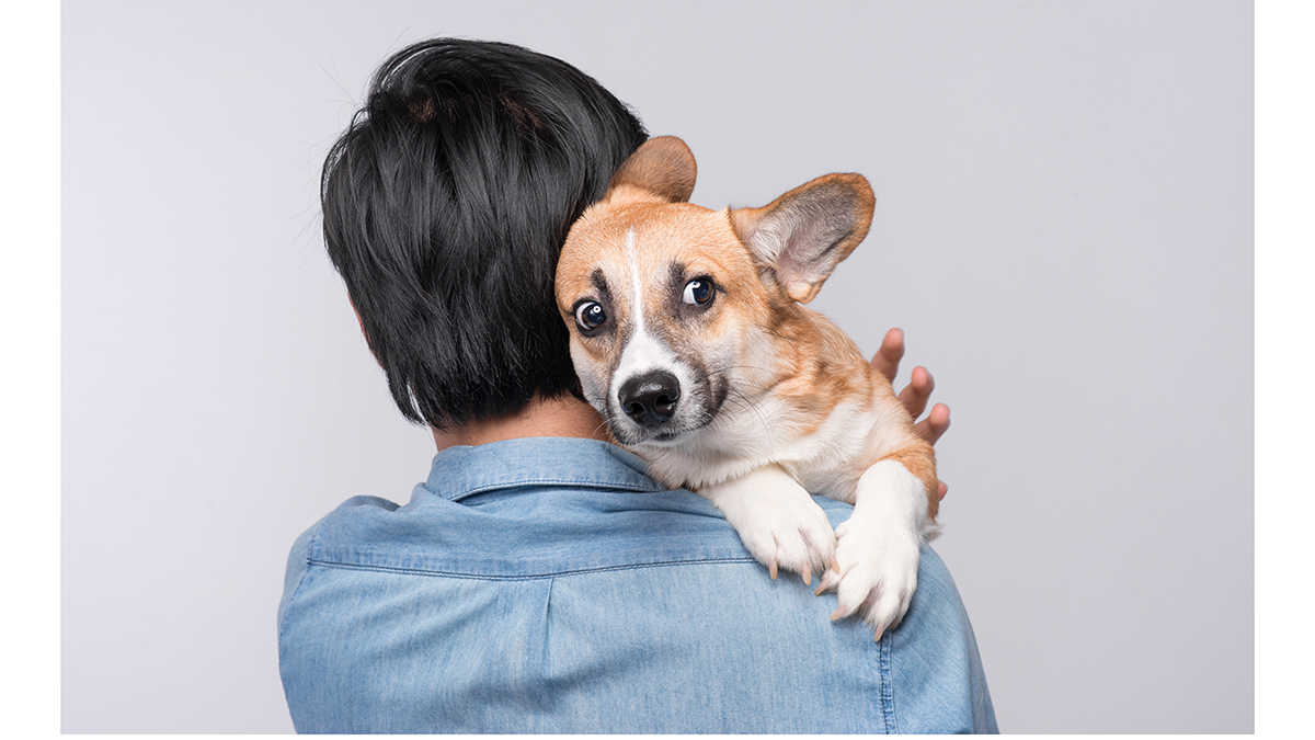 Σκύλος: 11 λόγοι που τρέμει – Πότε να ζητήσετε βοήθεια