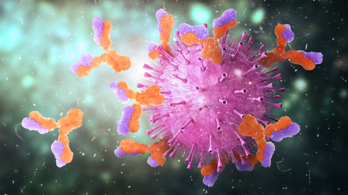 Κορωνοϊός: Το αντίσωμα που σας προστατεύει από τον ιό