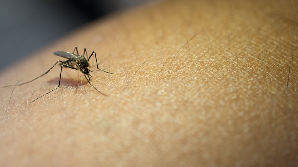 Κορωνοϊός: Σπρέι για κουνούπια μπορεί να «σκοτώσει» το στέλεχος που προκαλεί Covid-19
