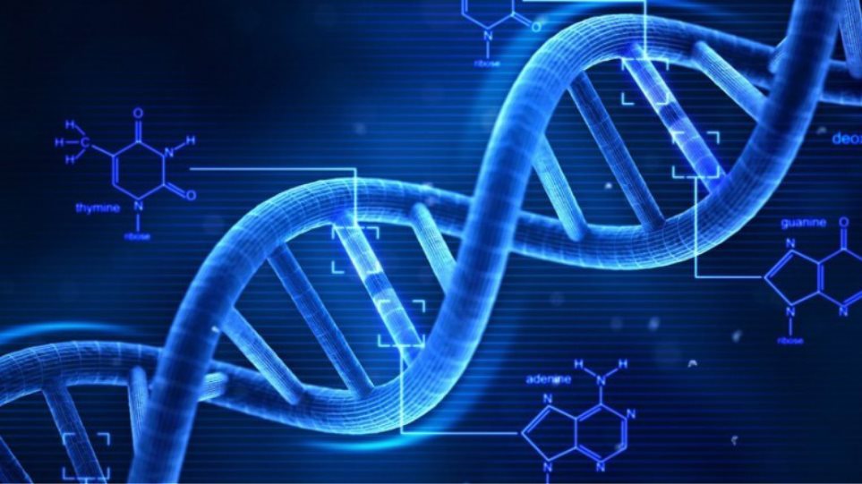 Γενετική ανάλυση: Οι πανομοιότυποι δίδυμοι δεν έχουν πάντοτε πανομοιότυπο DNA