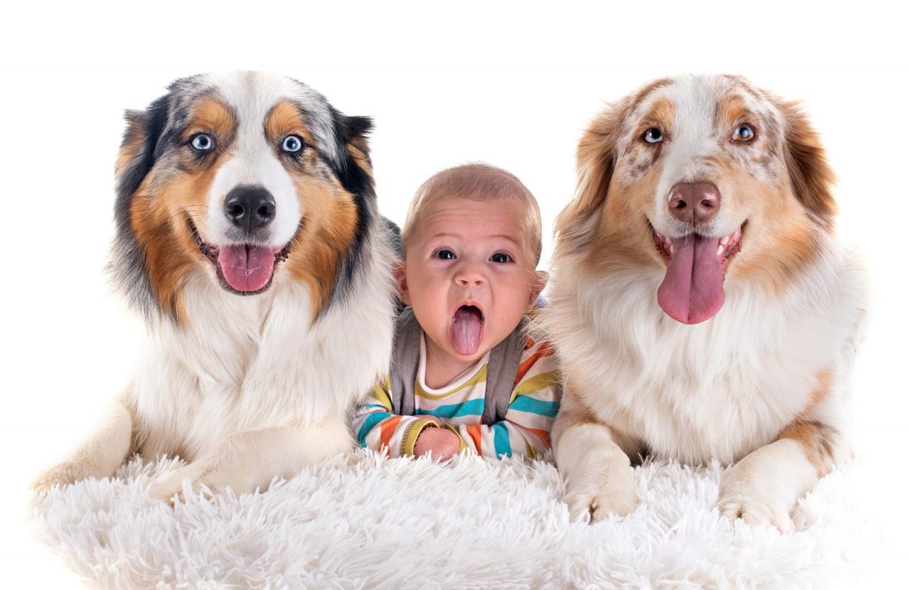 Μωρό στο σπίτι: Δέκα tips για να προετοιμάσουμε σωστά τον σκύλο