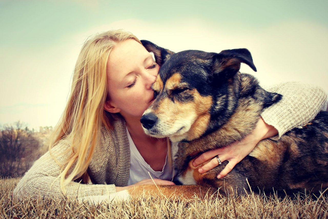 Παγκόσμια Ημέρα Σκύλου: Μια ημέρα για τον καλύτερο φίλο του ανθρώπου