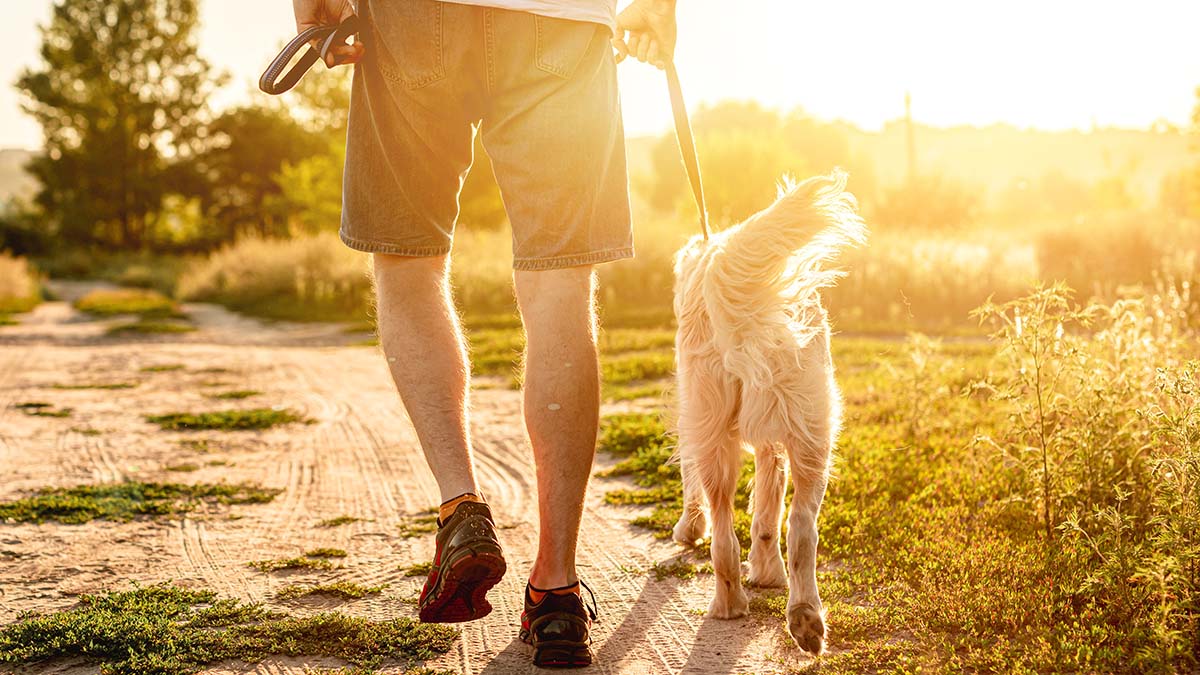 Οκτώ καλοί λόγοι να βγείτε για περπάτημα το πρωί