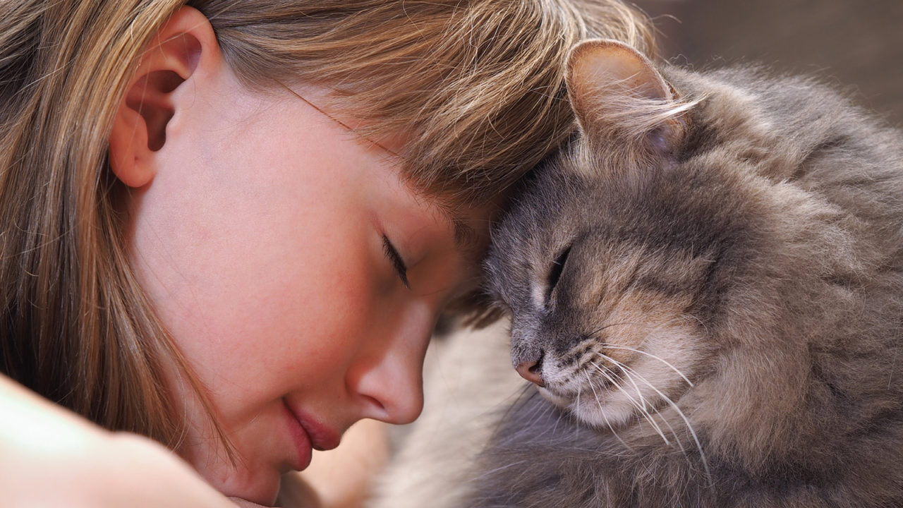 Γάτα: Το γουργουρητό και άλλοι 5 τρόποι που σας δείχνει την αγάπη της