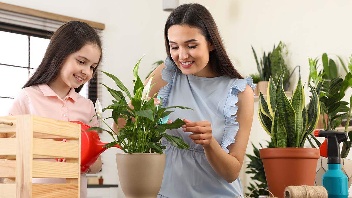 Τρία φυτά-βάλσαμο για τους πνεύμονες – Βάλτε τα στο σπίτι