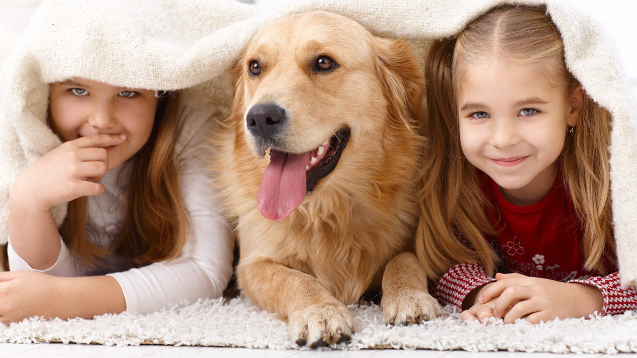 Σκύλος και παιδιά: Όλα τα μυστικά για να παίζουν ευχάριστα μαζί