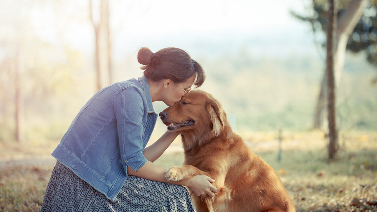 Σκύλος: Πόσο τον επηρεάζει η δική μας συμπεριφορά