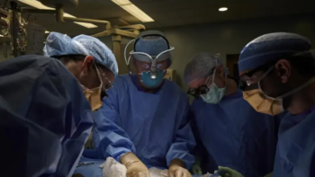 Κορωνοϊός: Ασφαλής η μεταμόσχευση νεφρών από δότες που έχουν νοσήσει