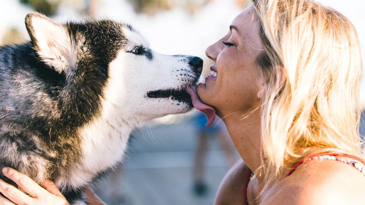 Σκυλιά: Τα μικρόσωμα δεν χρειάζονται βόλτα – Και άλλοι 6 μύθοι