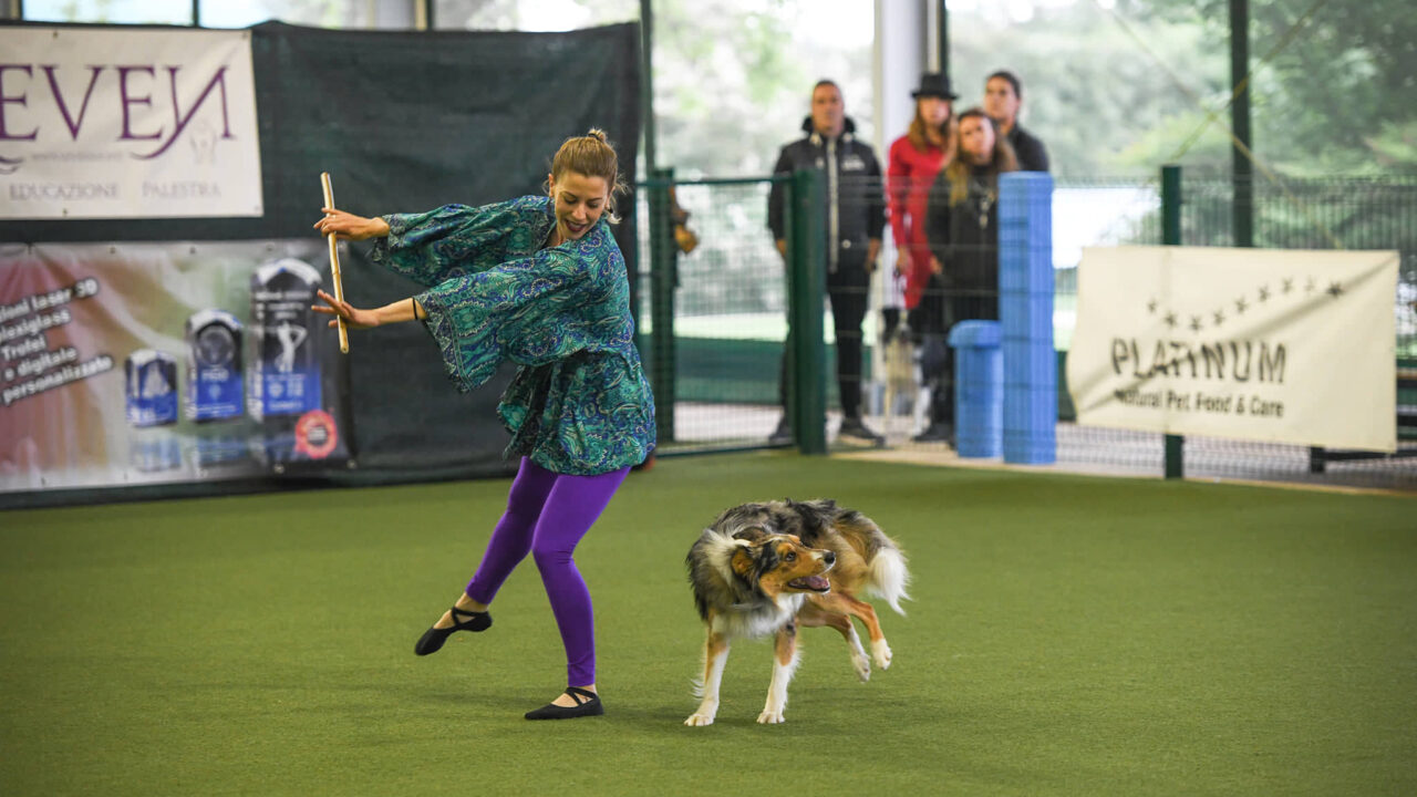 Dog dancing: Χορεύοντας με τον σκύλο – Ένα διαφορετικό σπορ