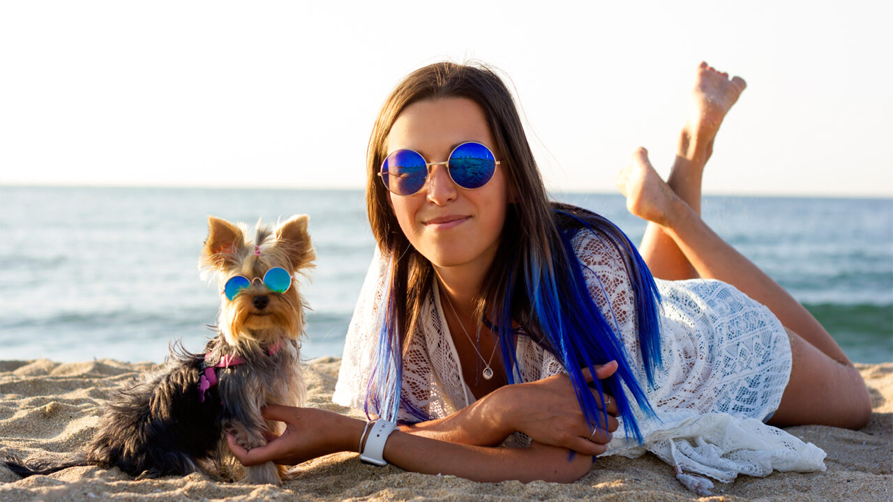 Στην παραλία με τον σκύλο: Όλα όσα πρέπει να προσέξετε