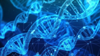 Επιστήμη – Βρετανία: Το μιτοχονδριακό DNA «τρυπώνει» στο ανθρώπινο γονιδίωμα και το αλλάζει