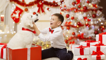 Το παιδί θέλει σκυλάκι για τα Χριστούγεννα: Να δεχθείτε ή να αρνηθείτε;