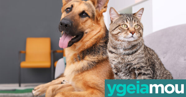 www.ygeiamou.gr