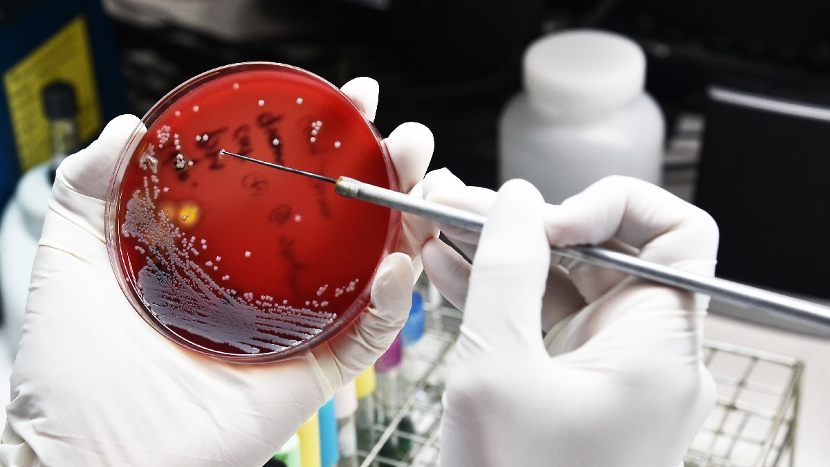 Grèce : leader dans la prescription d’antibiotiques